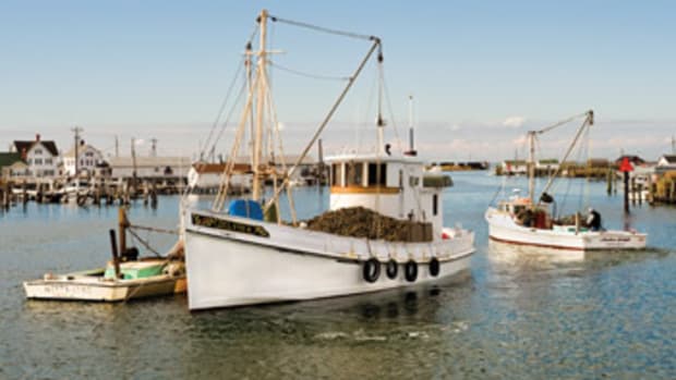 The buyboat Delvin K out of Crisfield, Maryland, takes on oysters from tong boats. The oysters are then taken to processing facilities for shucking and packing.