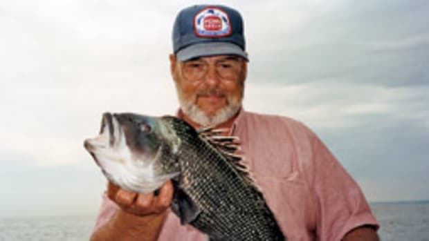 You can find sea bass of more than 5 pounds on some of the inshore spots.
