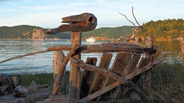 A driftwood bench that looks out over Swifts Bay features what looks like the head of a dinosaur.