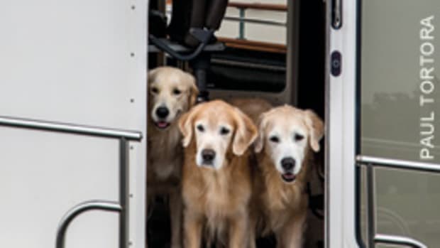 The Minards have logged 12,000 miles with various canine crewmenters.