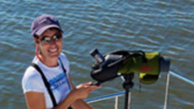 Boater and birder Diana Doyle founded Birding Aboard to encourage boaters to identify, record and report seabirds they encounter while cruising.