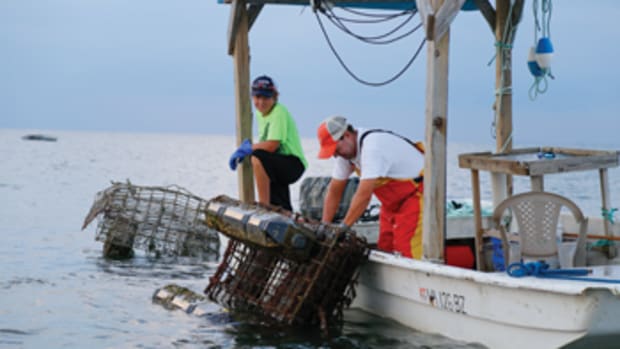 Twelve-year-old Sam Pruitt and his father use oyster aquaculture to bolster their earnings from crabbing and fishing.