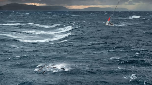 During the Sydney Hobart Yacht Race, a pod of dolphins leads the way as the Australian maxi yacht Brindabella weathers storm conditions off Tasman Island.