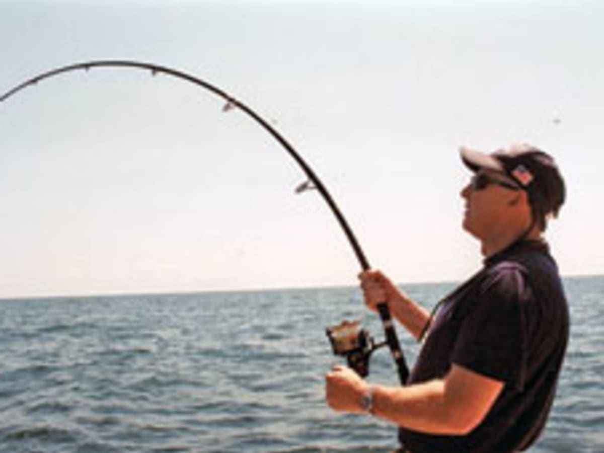 Versatile rods and reels that won't break the budget - Soundings