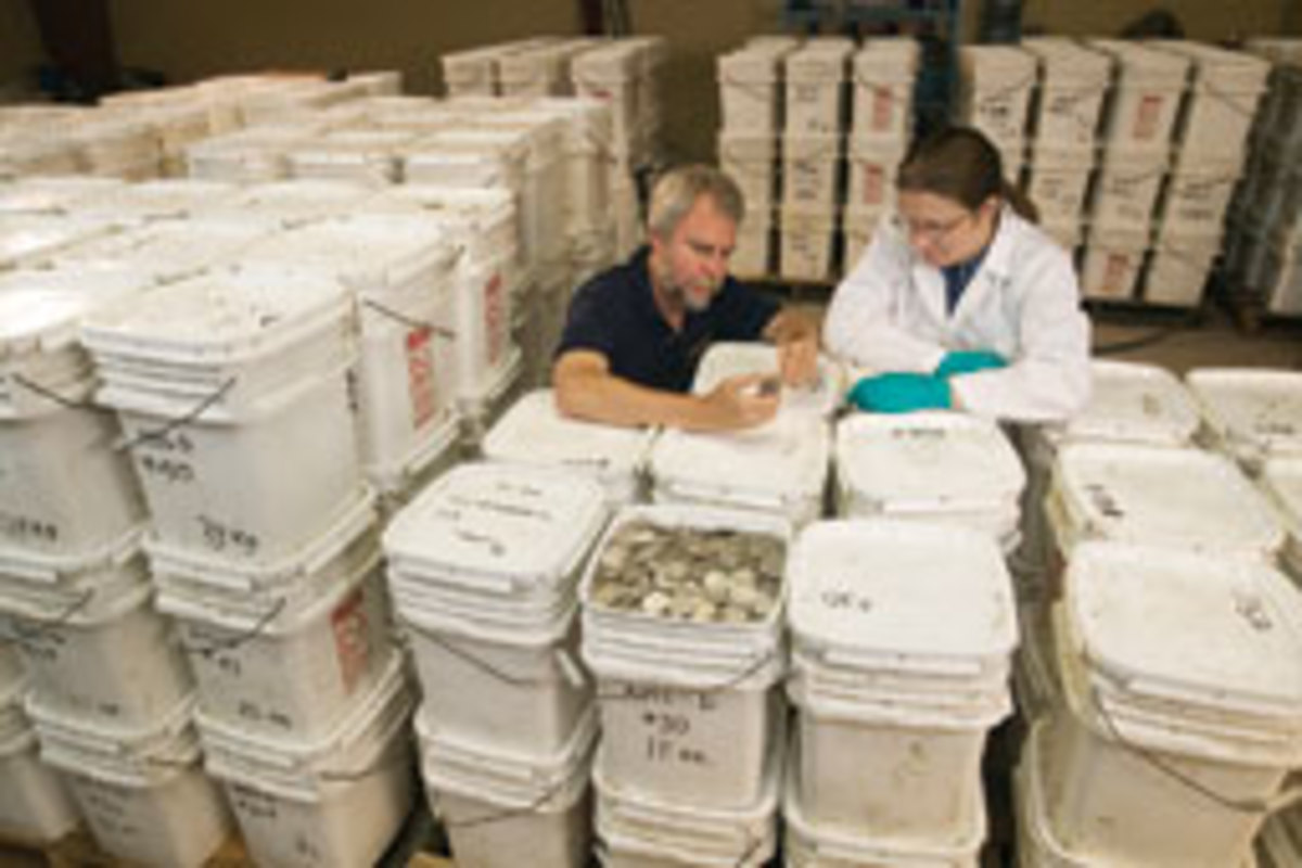 The silver coins have been warehoused in a secret location since March 2007.
