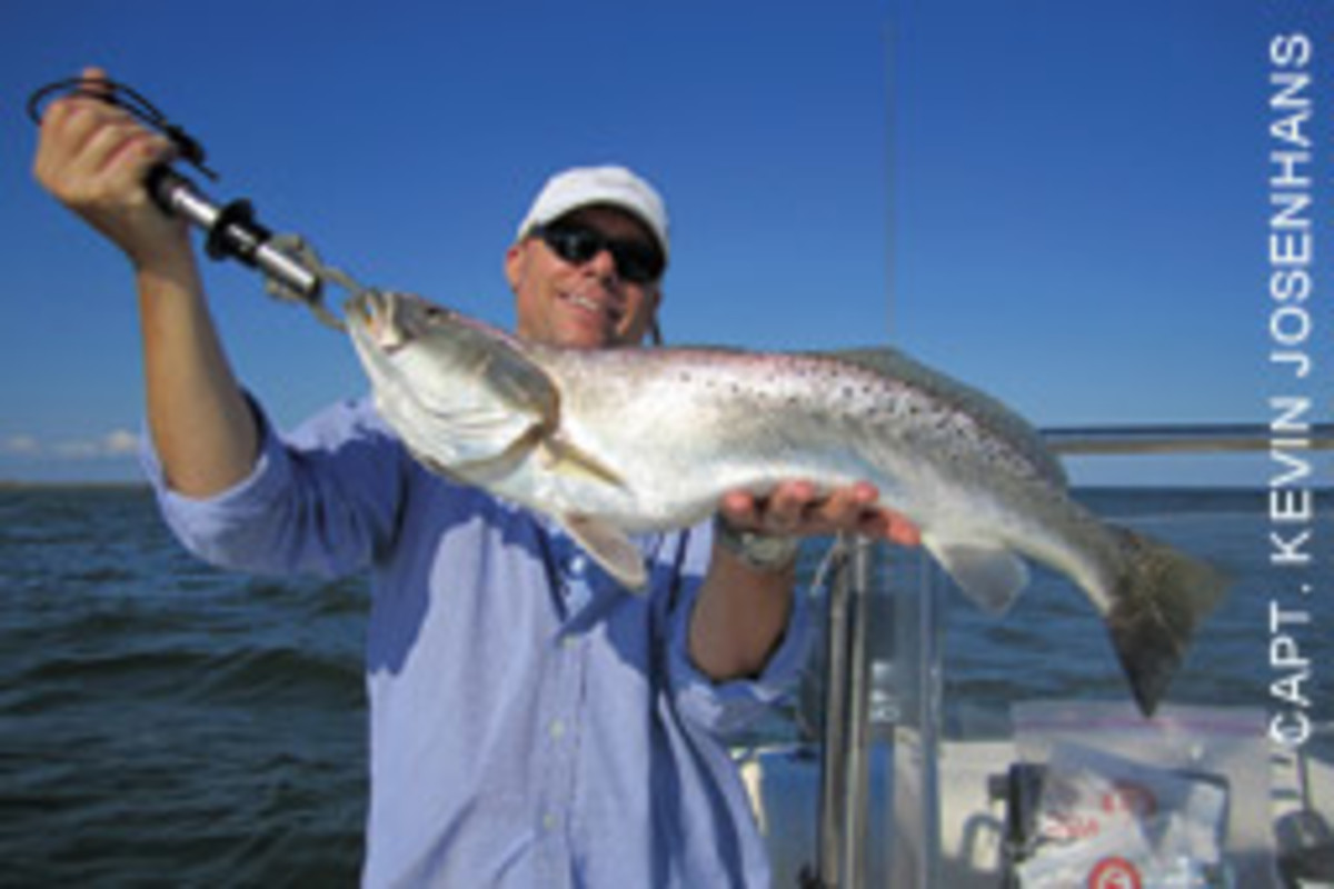 Monster speckled trout can be caught as far north as the Chesapeake Bay Bridge.