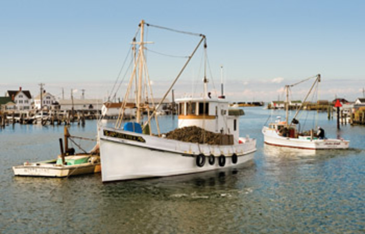 The buyboat Delvin K out of Crisfield, Maryland, takes on oysters from tong boats. The oysters are then taken to processing facilities for shucking and packing.