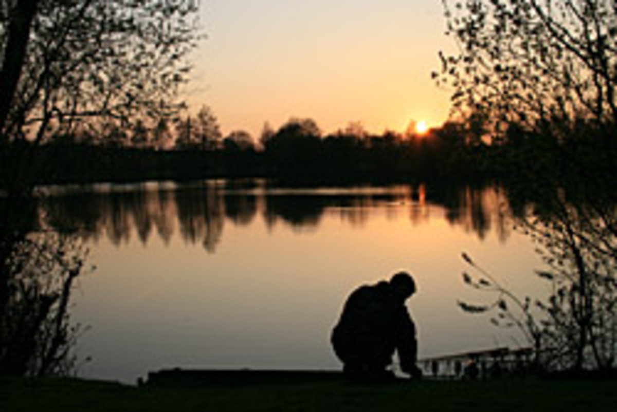 Kingfisher Lake, home to Benson, is part of the Bluebell Lakes carp fishery in Peterborough, England.