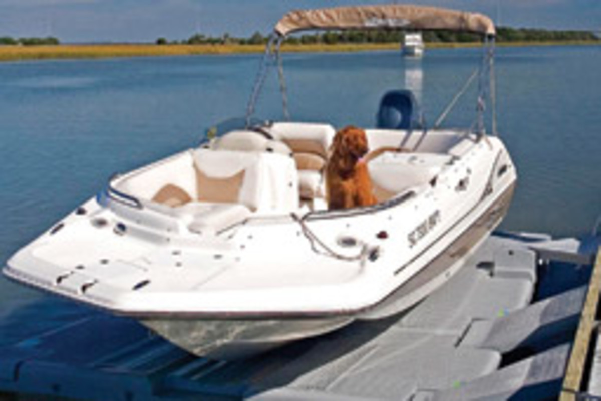 A picture of your best friend aboard can mean a donation to your local shelter.