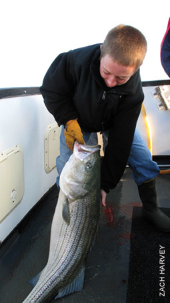 Putting fish in the boat is the key to keeping young folks interested on board.