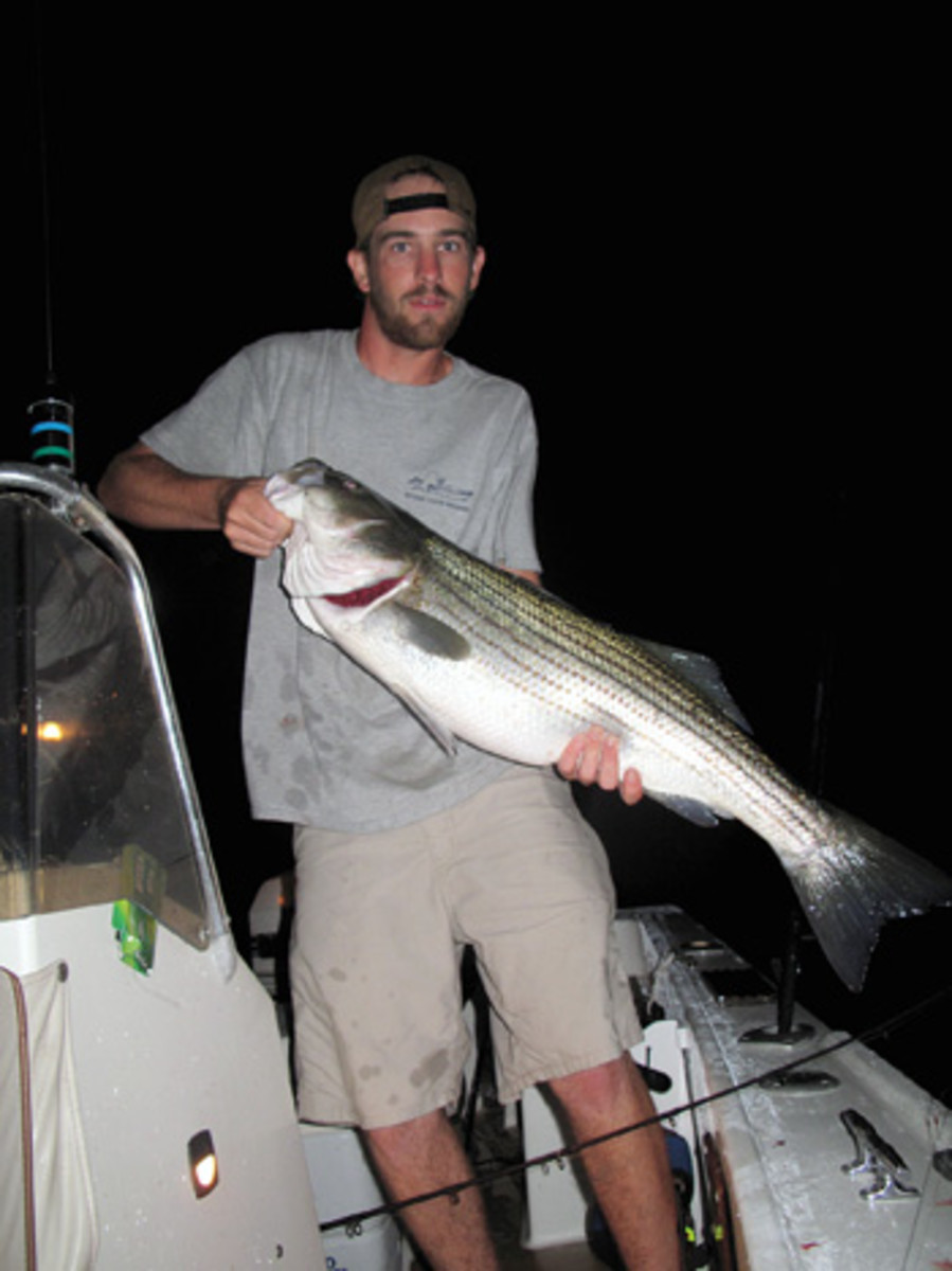 Some believe the continued decline of striper landings is a response to mounting strains, including cli-mate change and its effect on the environment.