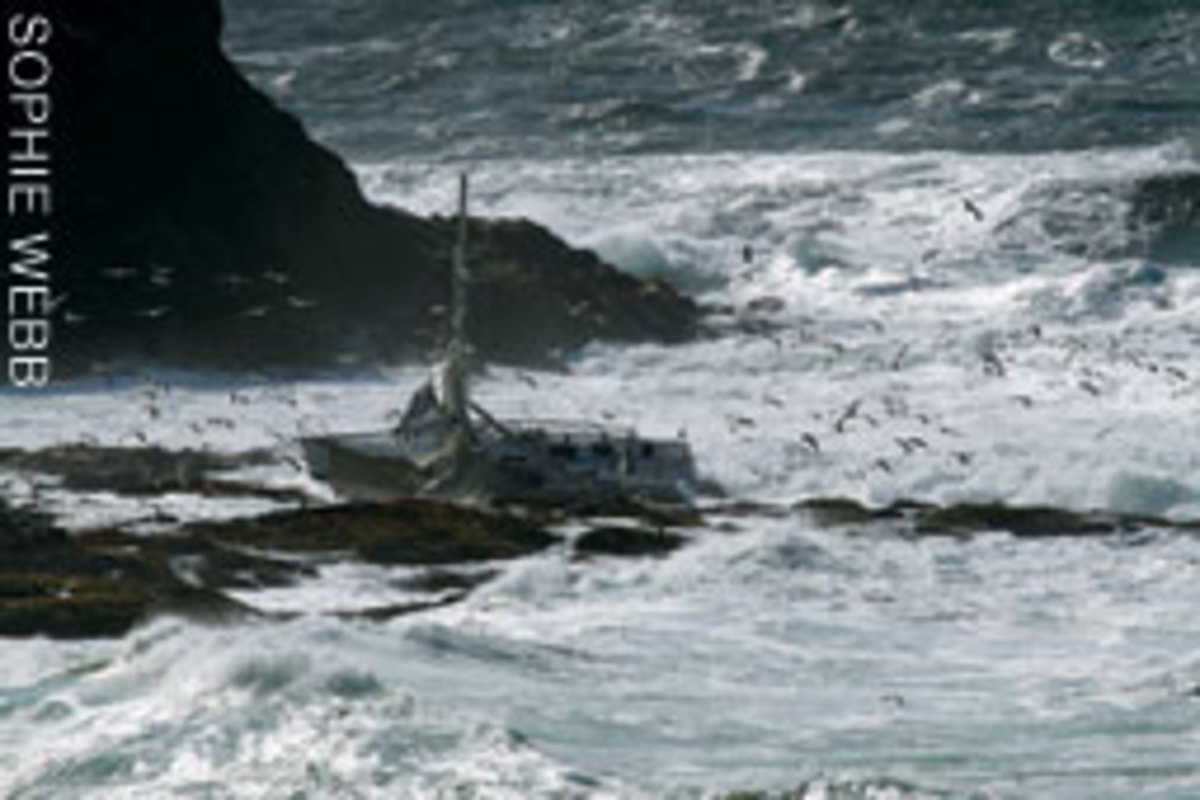 Five of the eight sailors aboard Low Speed Chase died after the Sydney 38 rolled in breaking surf during the Full Crew Farallones Race.