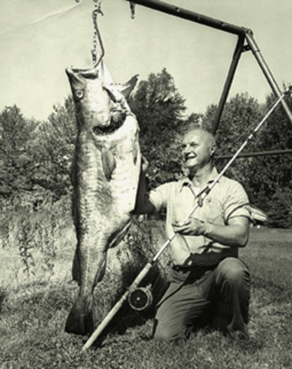 Alphonse Bielevich holds the world record for sport-caught cod with this 98-pound, 12-ounce fish boated June 8, 1969, off New Hampshire's Isles of Shoals.
