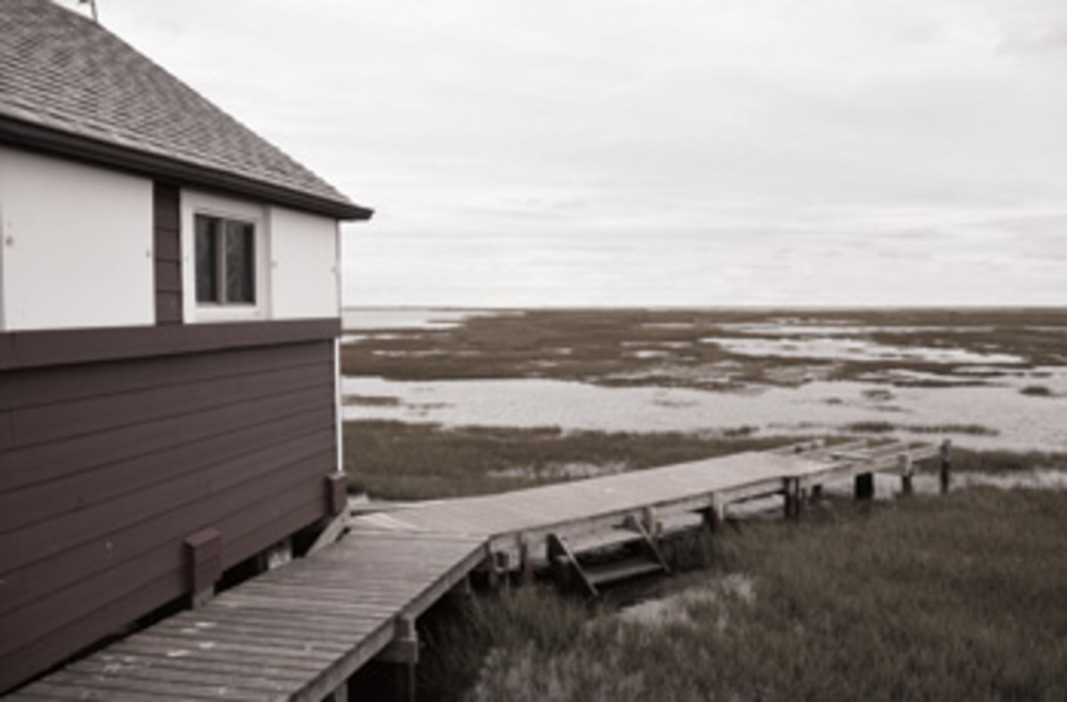Kevin Braunlich’s bay house on Middle Island overlooks wetlands.