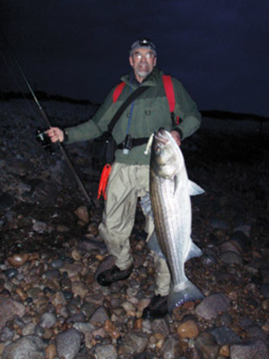 Stripers such as this heavyweight caught (and released) at Cuttyhunk this spring may well be plentiful for years, thanks to the legacy of some mightly year-classes spawned during the height of the bass rebound.