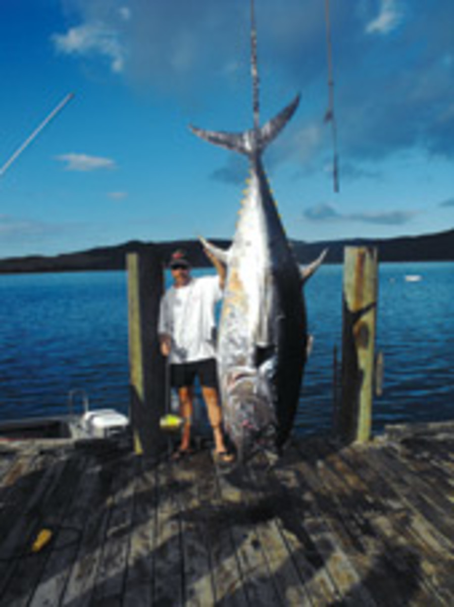 Nathan Adams landed the Pacific bluefin tuna off New Zealand's North Island.