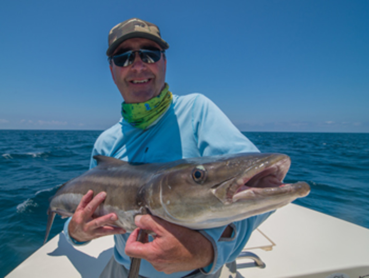 This big cobia, a fish known for its fight, took a fly.