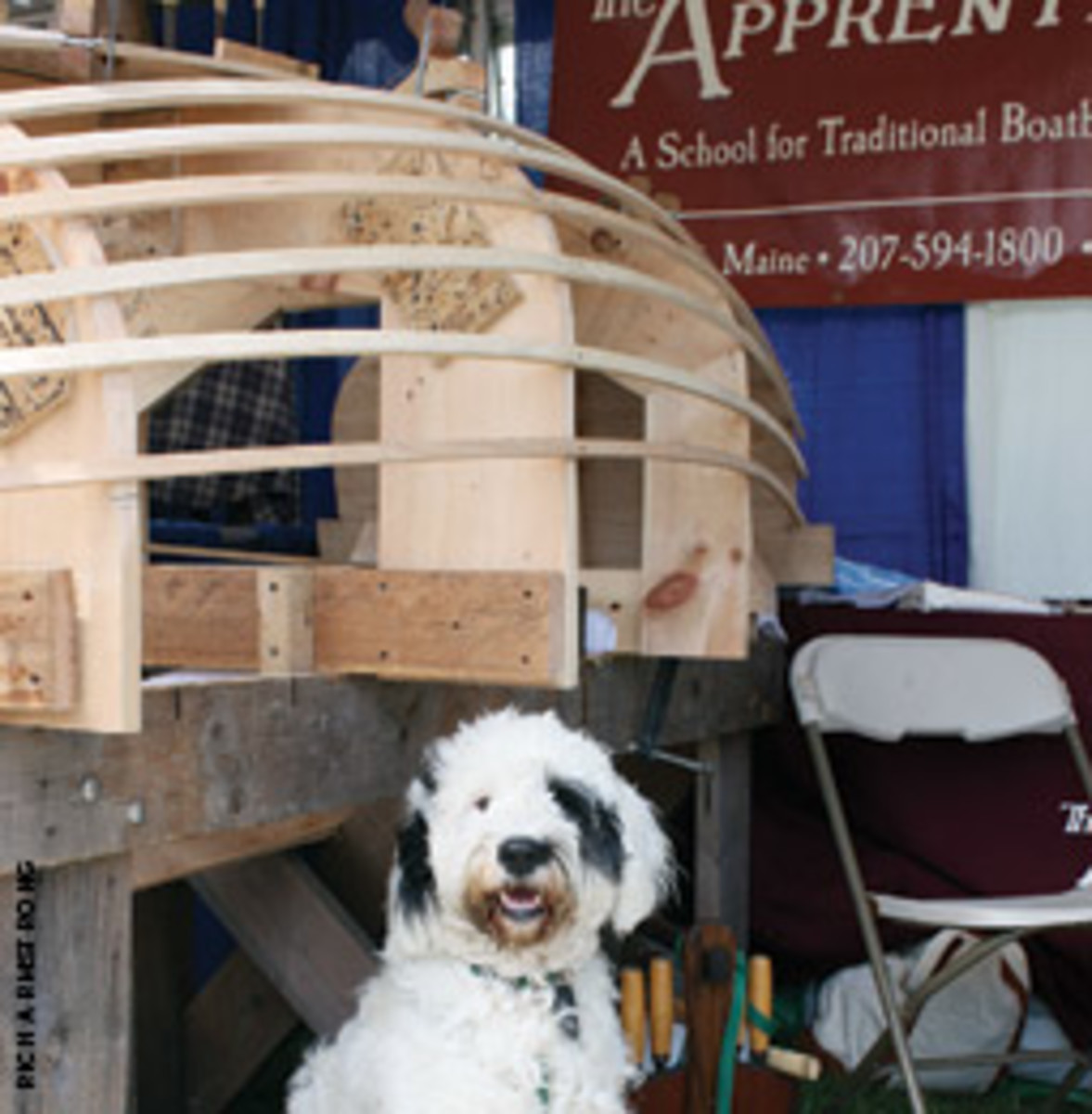 A Portuguese water dog stands guard over a framed hull displayed by The Apprenticeshop at this summer's WoodenBoat Show.