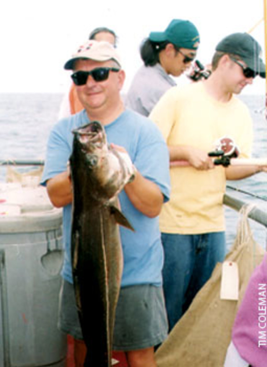 During the summer, Yankee Capts offers overnight and multiday trips to Cashes Ledge, perhaps the best fishing for cod, haddock and hard-fighting pollock in New England.