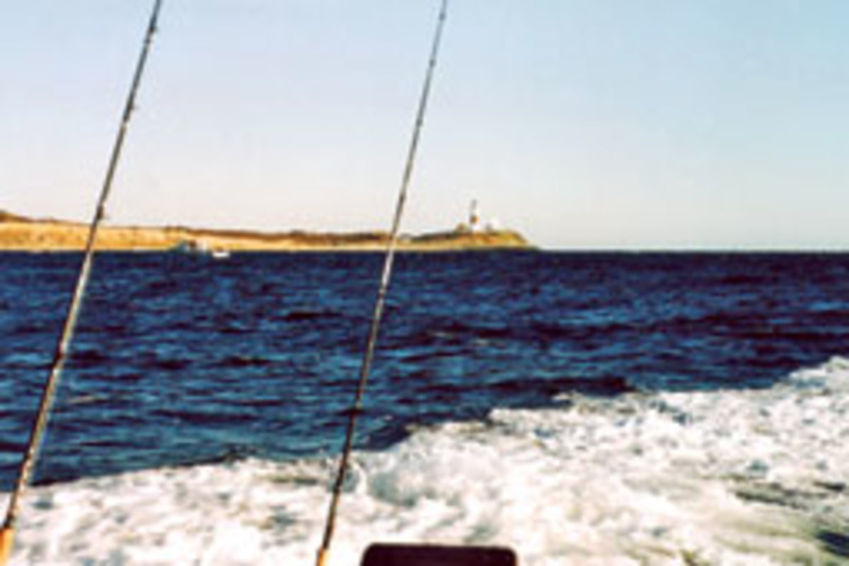 It's easy to fish for sea bass off Montauk, N.Y., in the morning, then spend the afternoon diamond-jigging for bass and blues in the rips closer to the point.