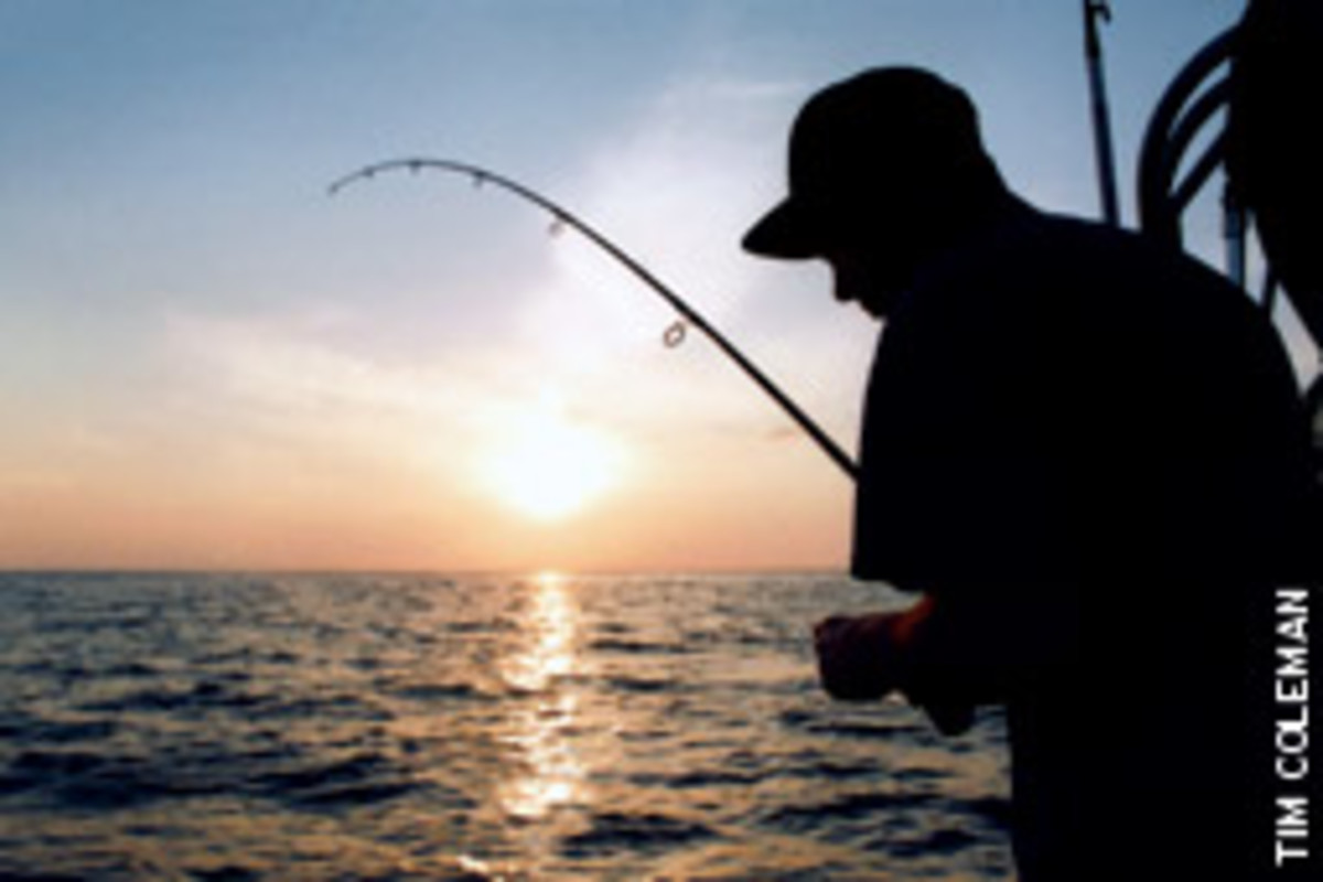 When you take kids fishing, select a day or evening when the weather is nice, and choose a fishery that has lots of action.