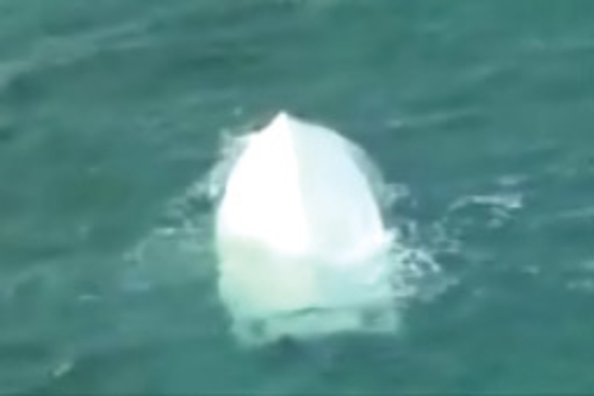 An image from a Coast Guard video shows the capsized 25-foot center console.