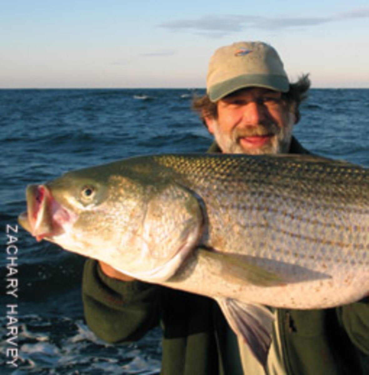 Most of the anglers who consistently bring in big fish are out on the grounds every fishable day.
