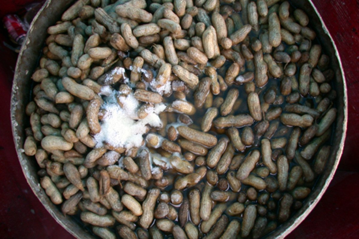P-Nuts are boiled in brine and typically sold at roadside stands in sandwich bags.