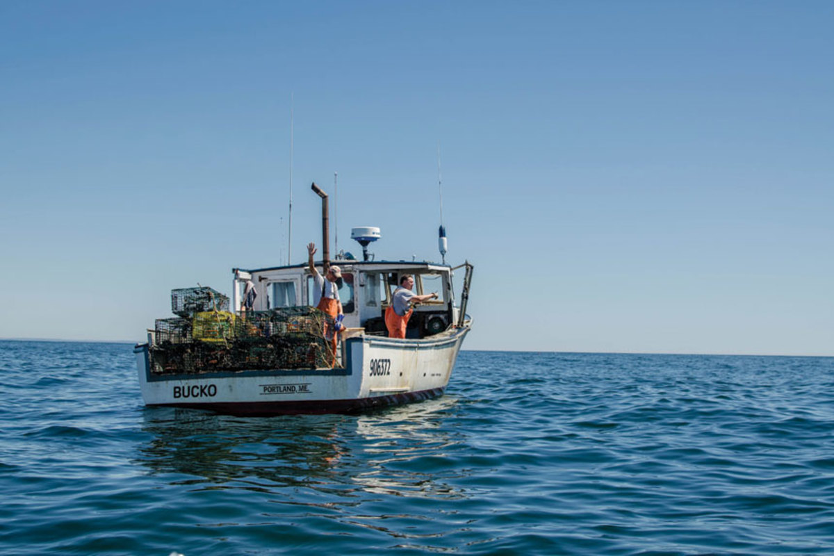 As ocean waters warm due to slowing 
currents, and lobsters seek colder water offshore, lobstermen will have to make longer and costlier trips to catch them.