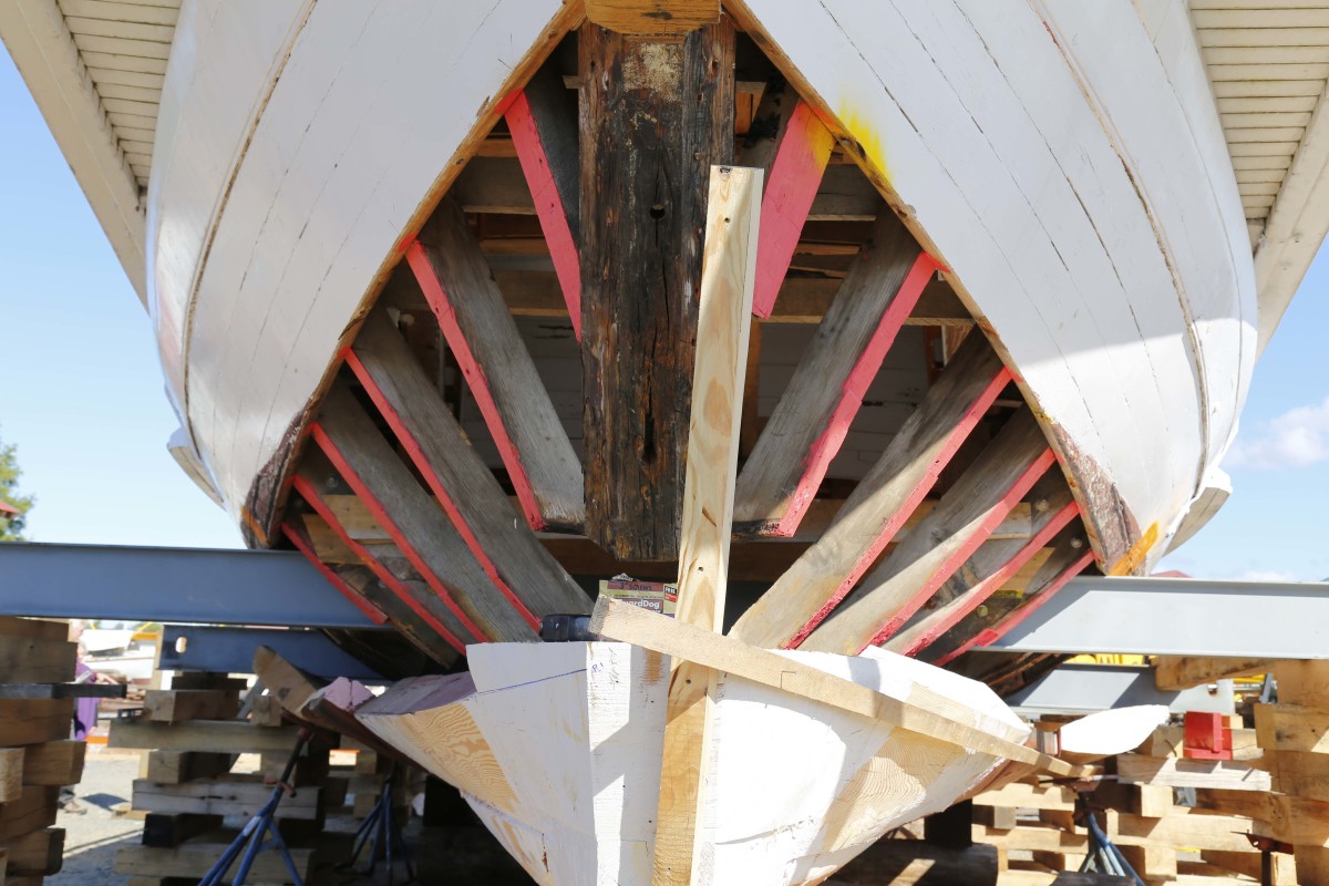 The topsides and deck of the bugeye Edna E. Lockwood lie suspended above her new loblolly pine log bottom. 