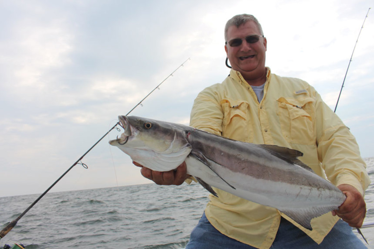 A new, razor-sharp hook can bring the fish into the boat.