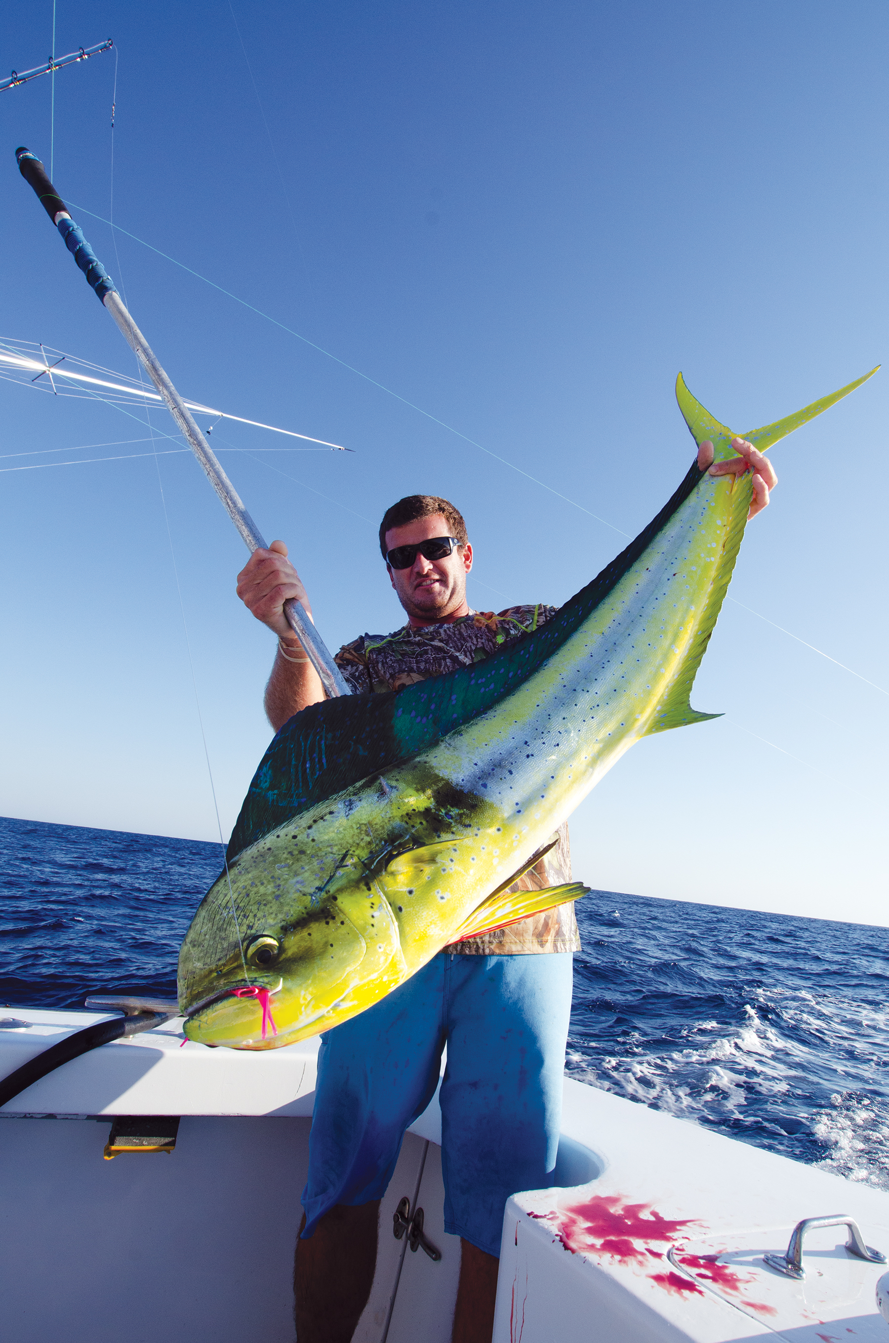 Pound Mahi Mahi