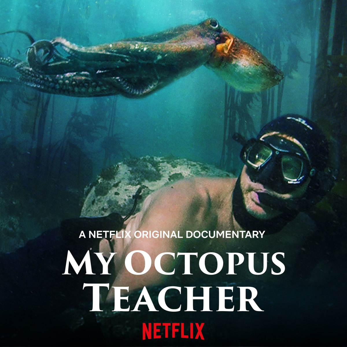My_Octopus_Teacher