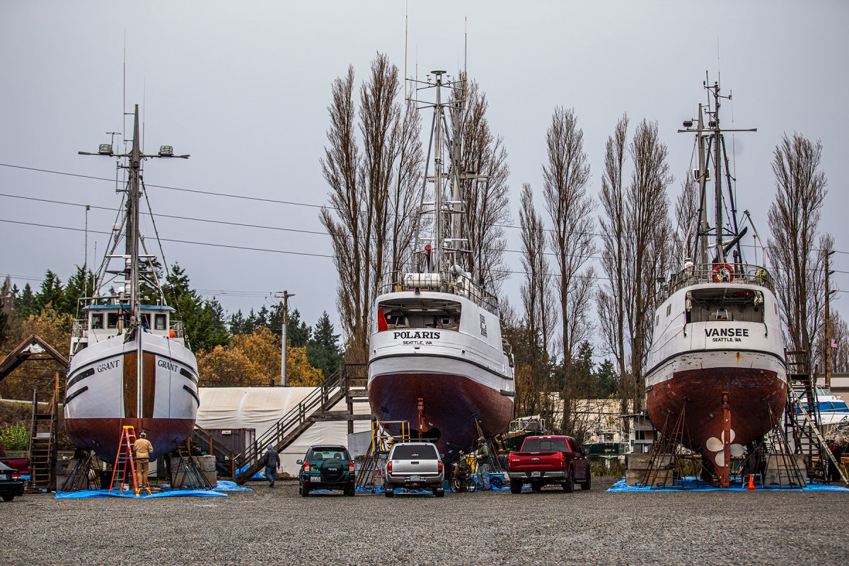 A collection of halibut schooners in for seasonal repairs