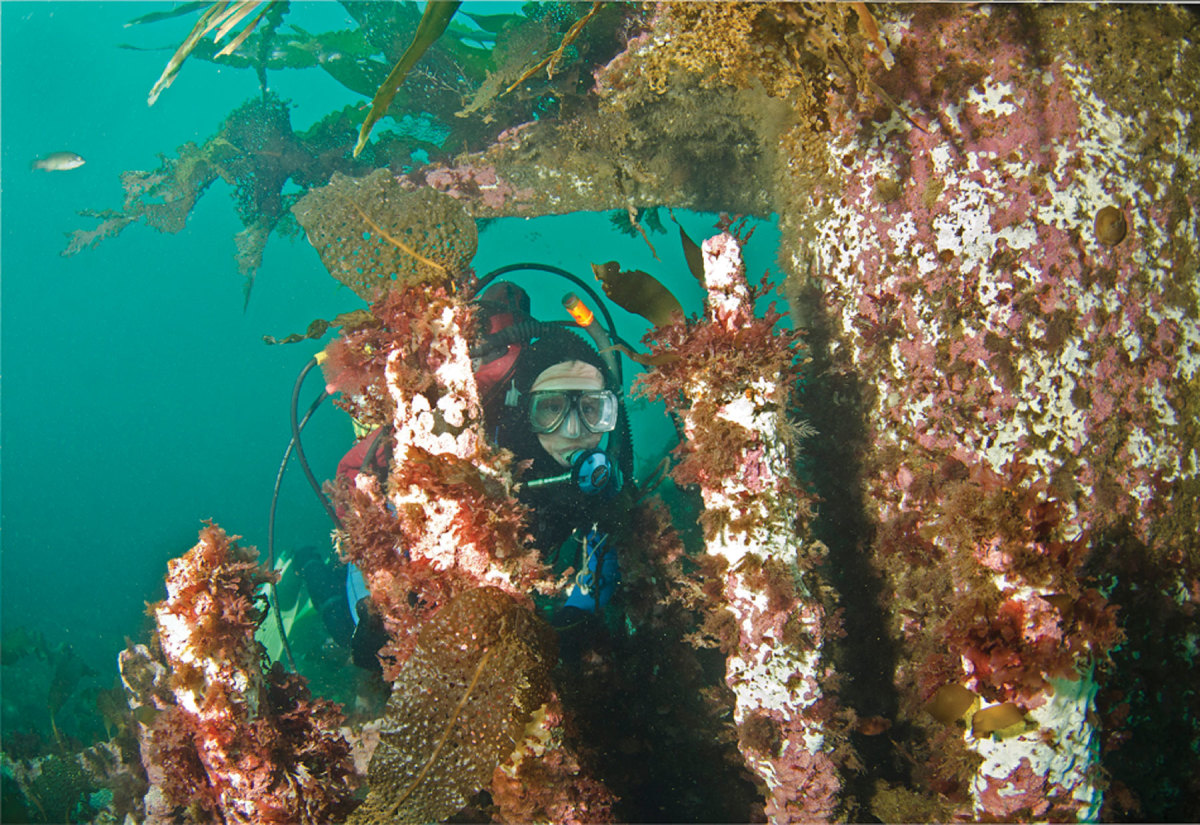 Chaulk diving on the remains of the ship