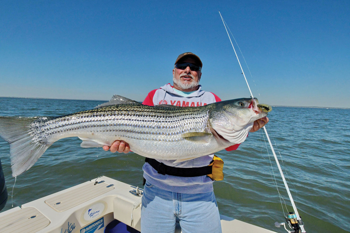 The author shows off a giant striper caught near Atlantic Highlands.