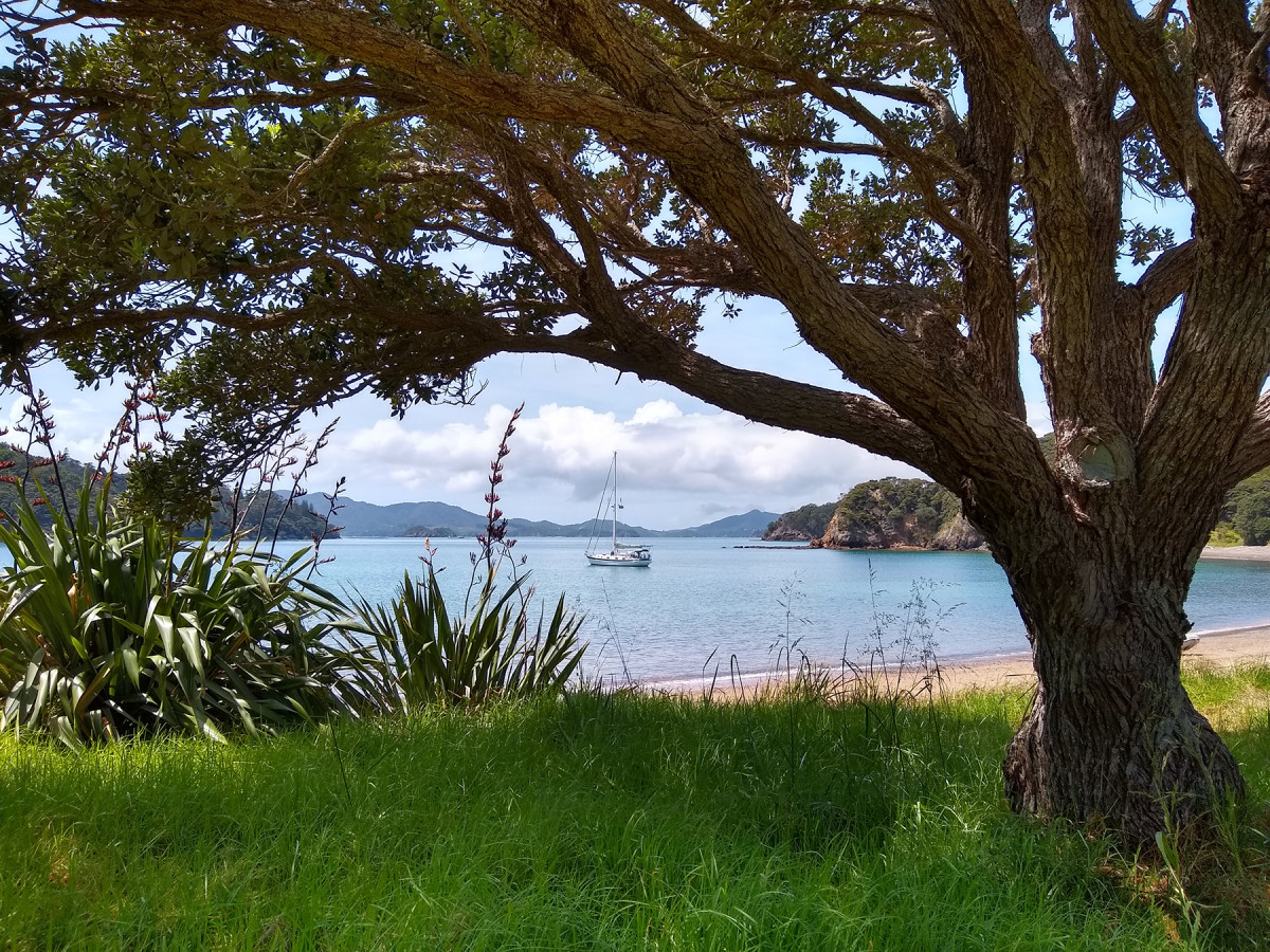 A tranquil anchorage at Motuarohia Island in New Zealand’s Bay of Islands.  